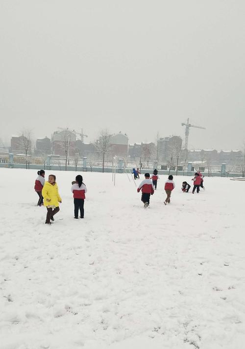 雪地中的宝藏（被忽略的宝藏/游戏中的探险之旅）