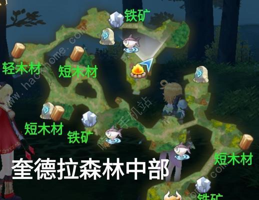 《玛娜希斯回响》游戏鱼竿获取方法全解析（掌握游戏技巧）