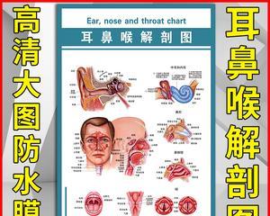 人体工厂（利用游戏模拟清理鼻腔的实用技巧）