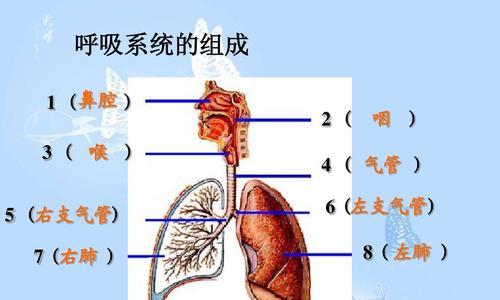 人体工厂（利用游戏模拟清理鼻腔的实用技巧）