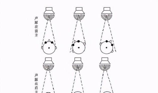 以游戏为主，拓展人体工厂听觉中枢通关技巧（挑战听觉极限）