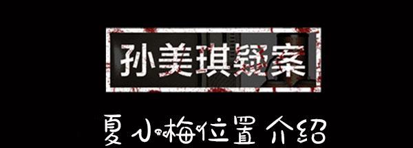 揭秘孙美琪疑案的水浒满江红线索（以游戏为主）