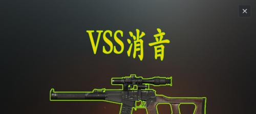 和平精英（VSS步枪）