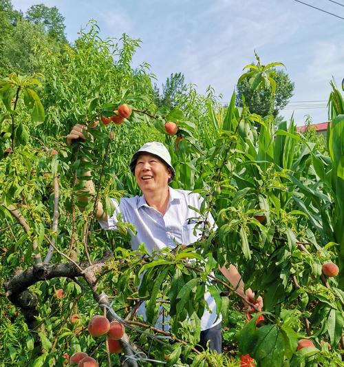 黑潮之上（打造战无不胜的红桃子阵容）