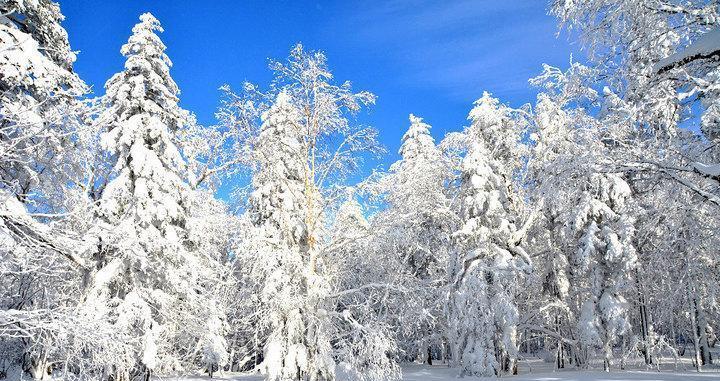 鬼泣巅峰之战雪原场景（体验绝美雪原）