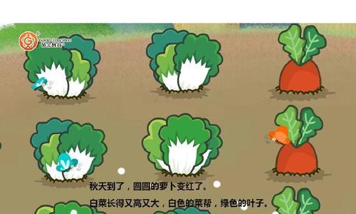 《小森生活种植白菜攻略》（白菜种子如何在小森生活中存活与繁荣）