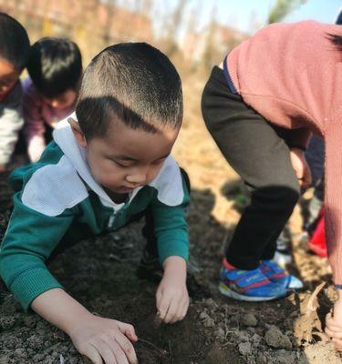 小朋友适合玩哪些简单的挖土游戏？哪里可以找到这些游戏的图片？