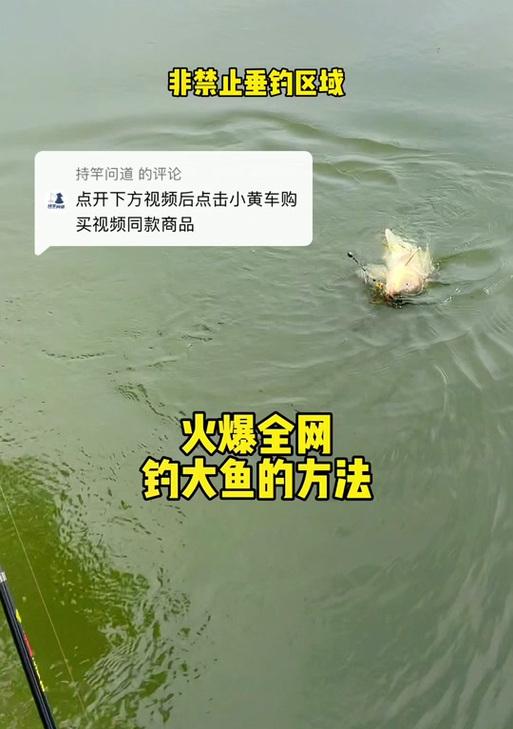 死亡缠绕宝宝在问道端游中的具体效果是什么？如何选择合适的宝宝学习此技能？