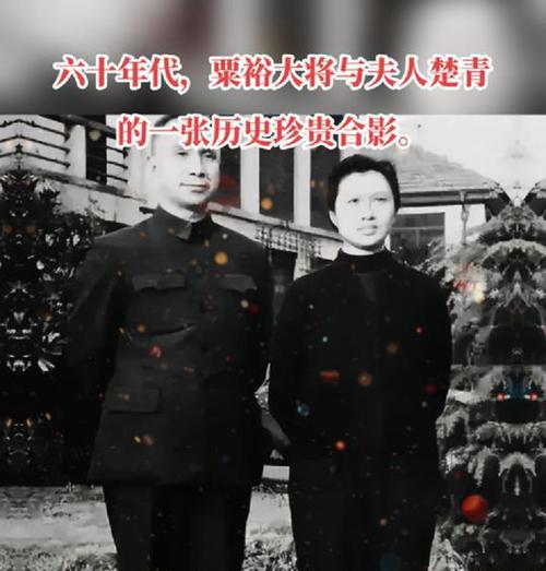 大将在历史中是元老还是大将军？他们的区别是什么？